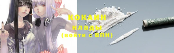 дурь Арсеньев