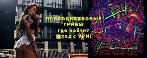 дурь Арсеньев