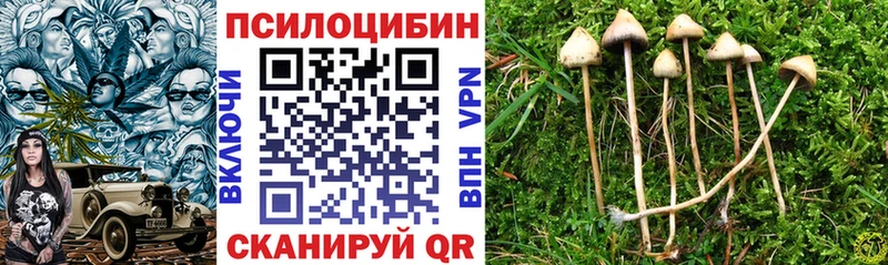 Купить где  Балахна  Псилоцибиновые грибы Psilocybine cubensis 