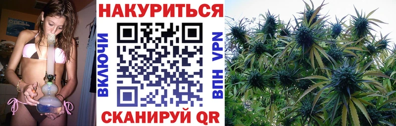 Купить где  Балахна  Каннабис сатива 